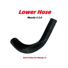 Lower Hose