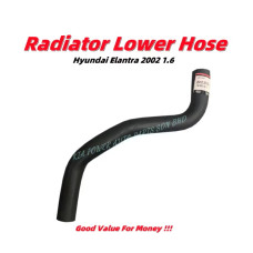 Lower Hose