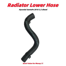 Lower Hose