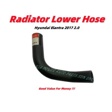 Lower Hose