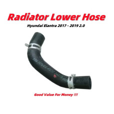 Lower Hose
