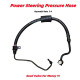 Power Steering Hose