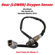 Oxygen Sensor
